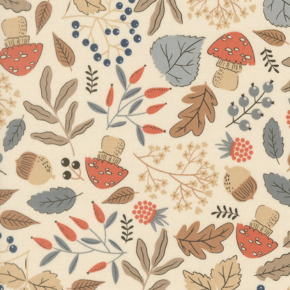 Natures Sketchbook
