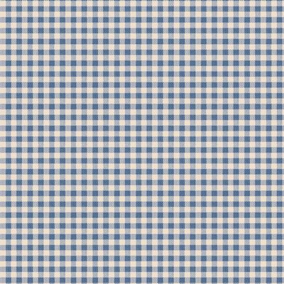 Creating Memories Woven- Gingham Blue